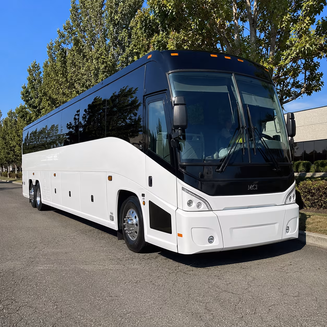bellevue 50 passenger charter bus
