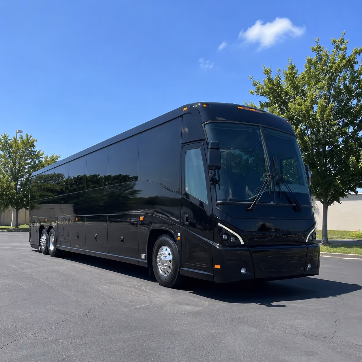 bellevue 56 passenger charter bus