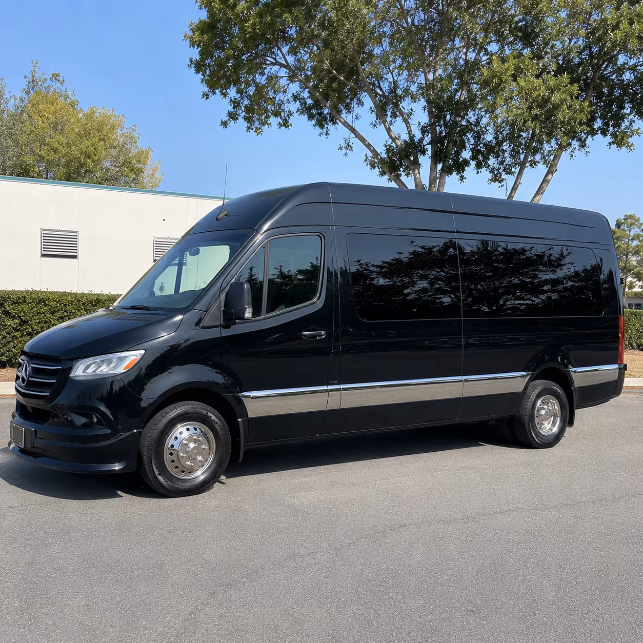 bellevue bachelor bachelorette transportation onboard